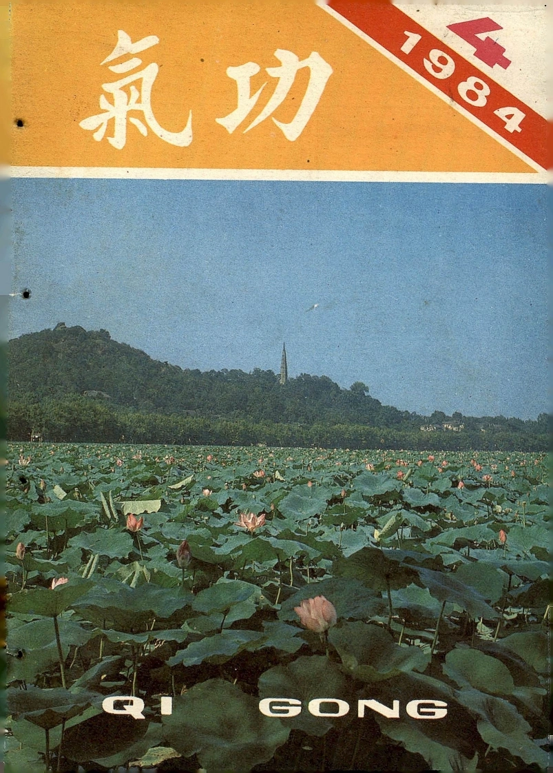 气功1984第四期-四书格