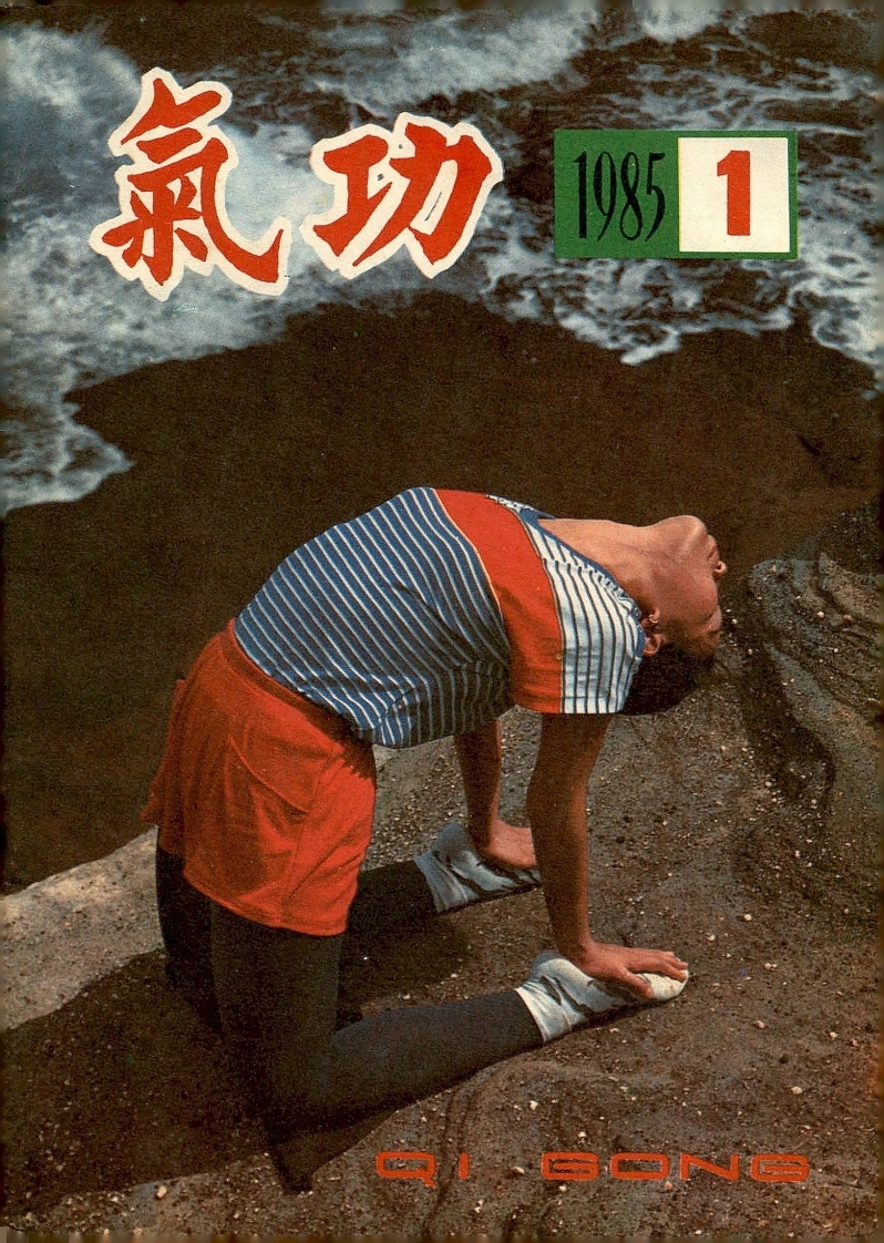 气功1985第一期-四书格