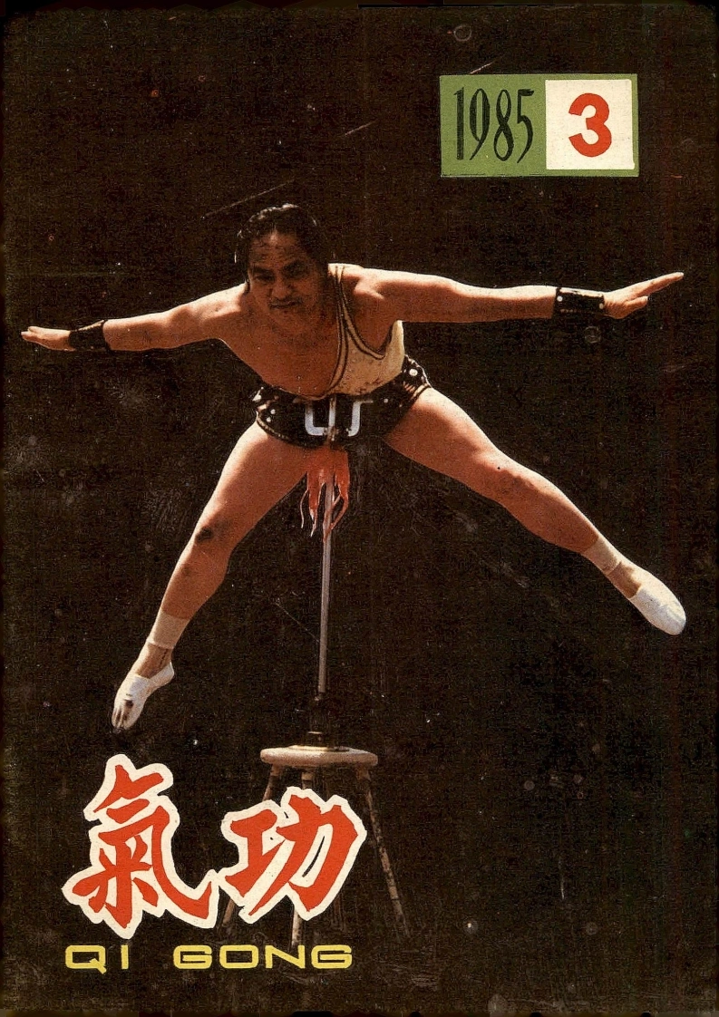 气功1985第三期-四书格