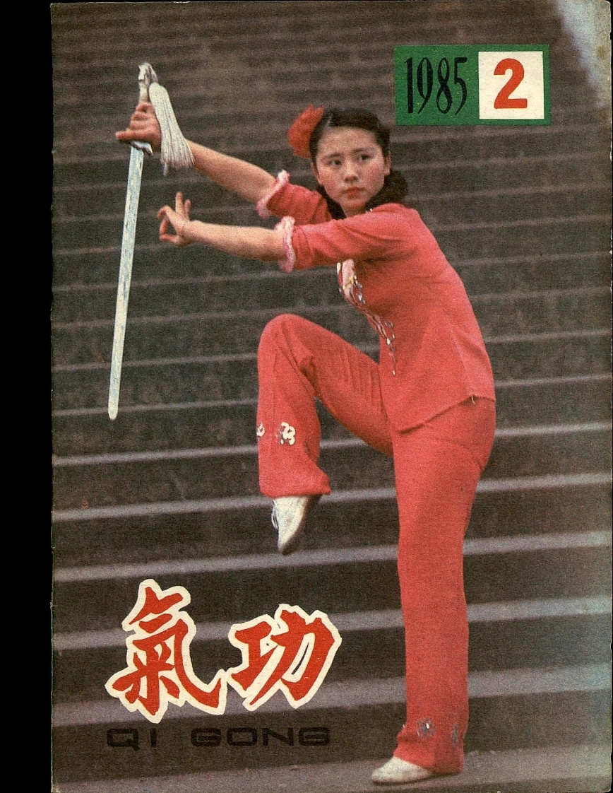 气功1985第二期-四书格