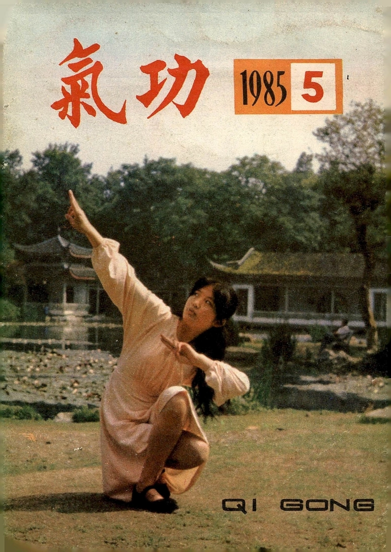 气功1985第五期-四书格