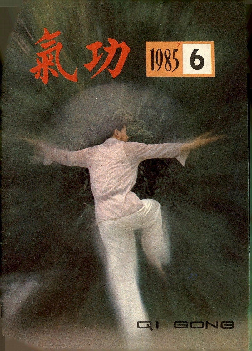 气功1985第六期-四书格