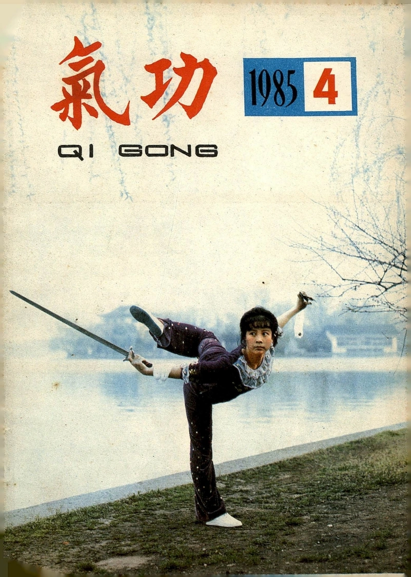 气功1985第四期-四书格