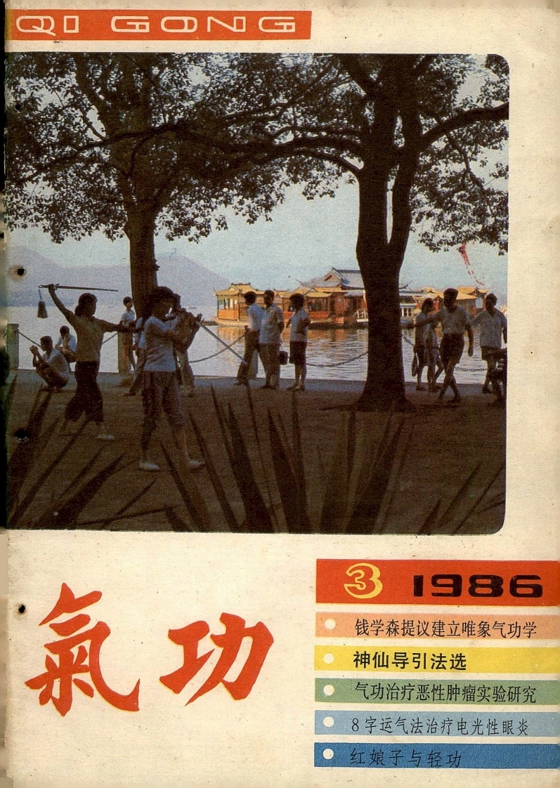 气功1986第三期-四书格