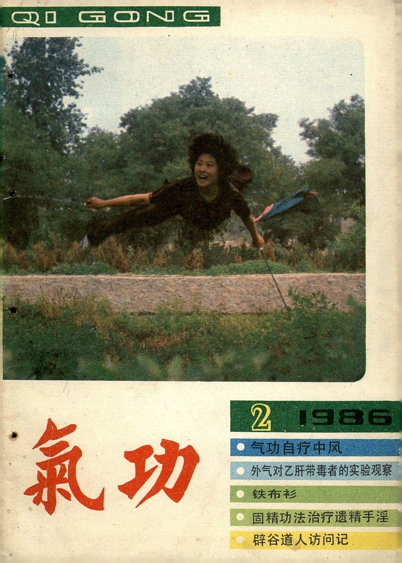 气功1986第二期-四书格