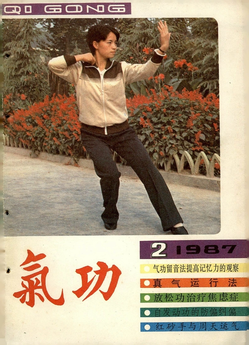 气功1987第二期-四书格