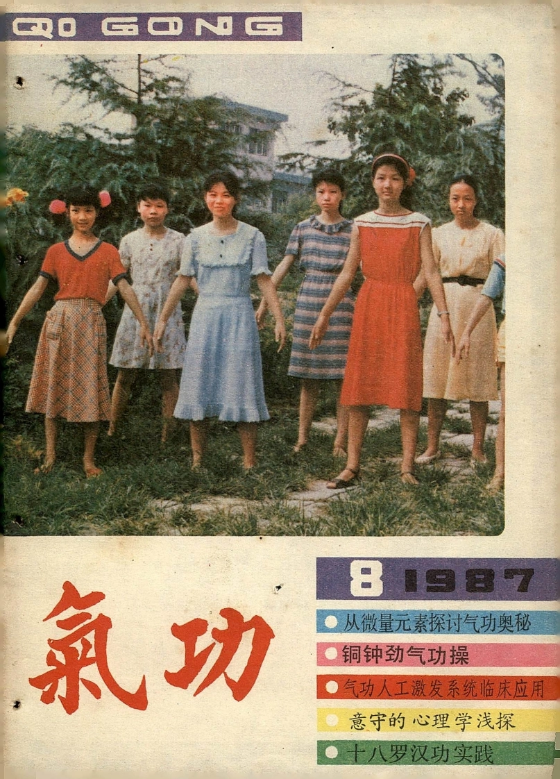 气功1987第八期-四书格