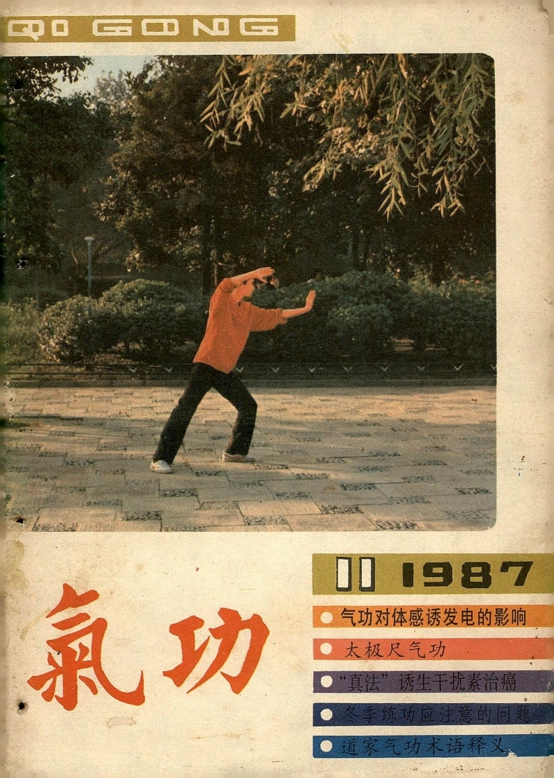 气功1987第十一期-四书格