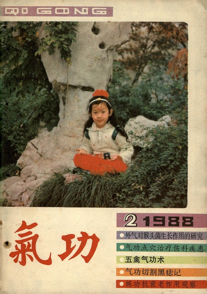 气功1988第二期-四书格