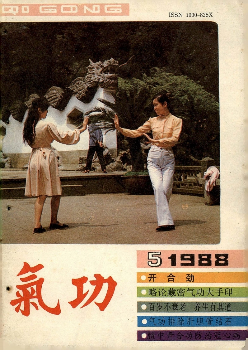 气功1988第五期-四书格
