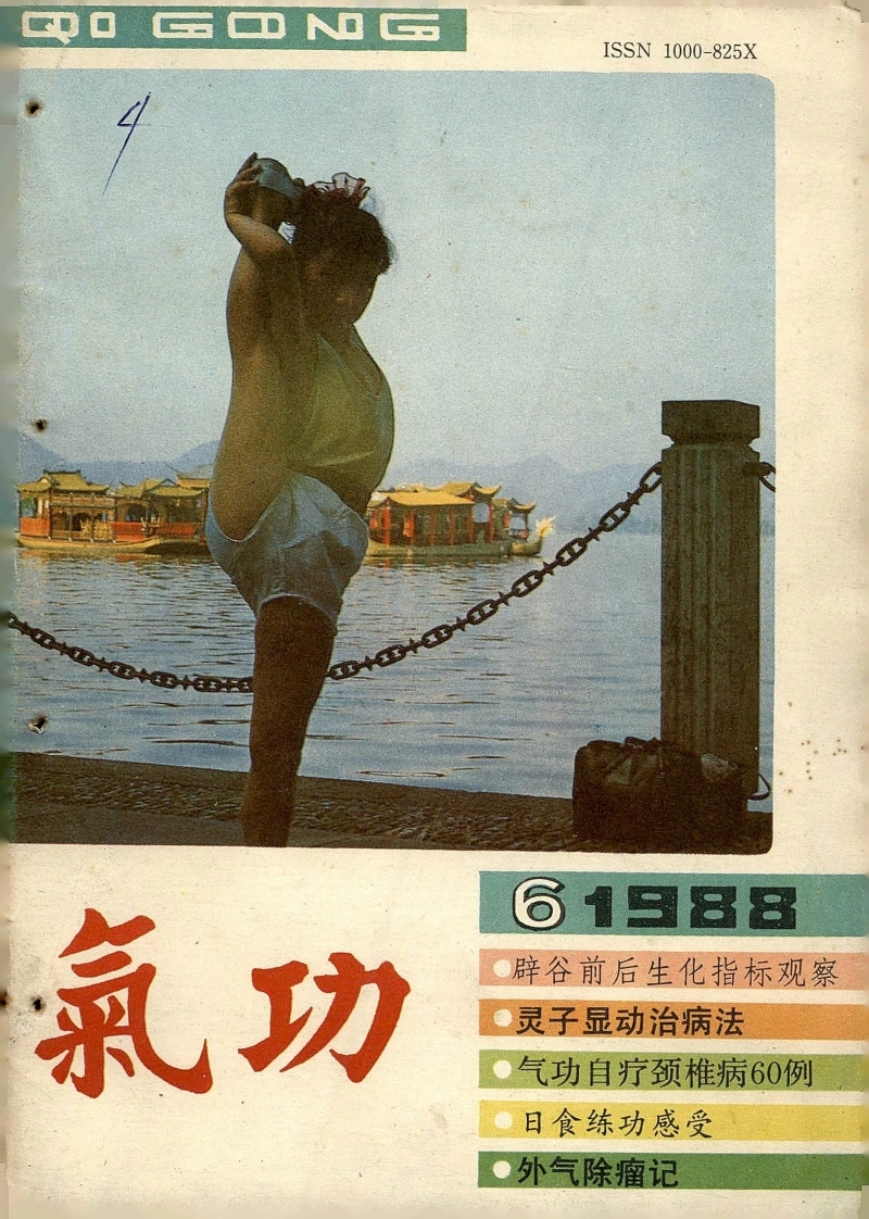 气功1988第六期-四书格