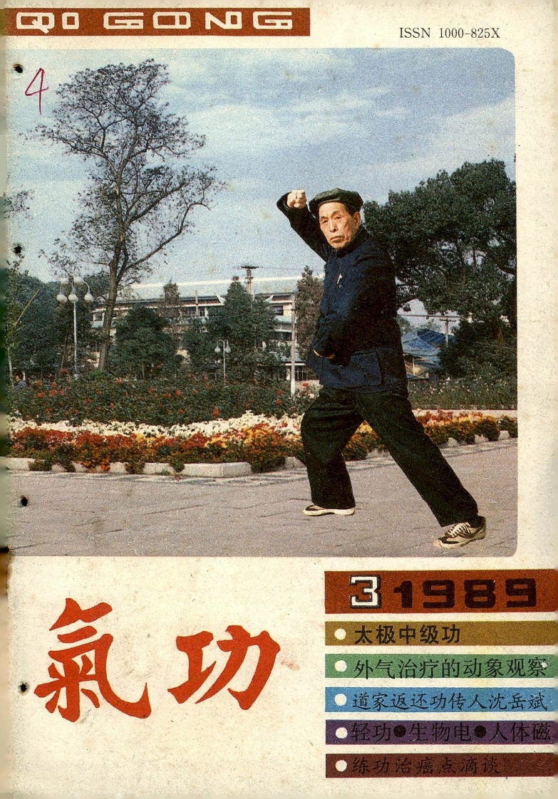 气功1989第三期-四书格
