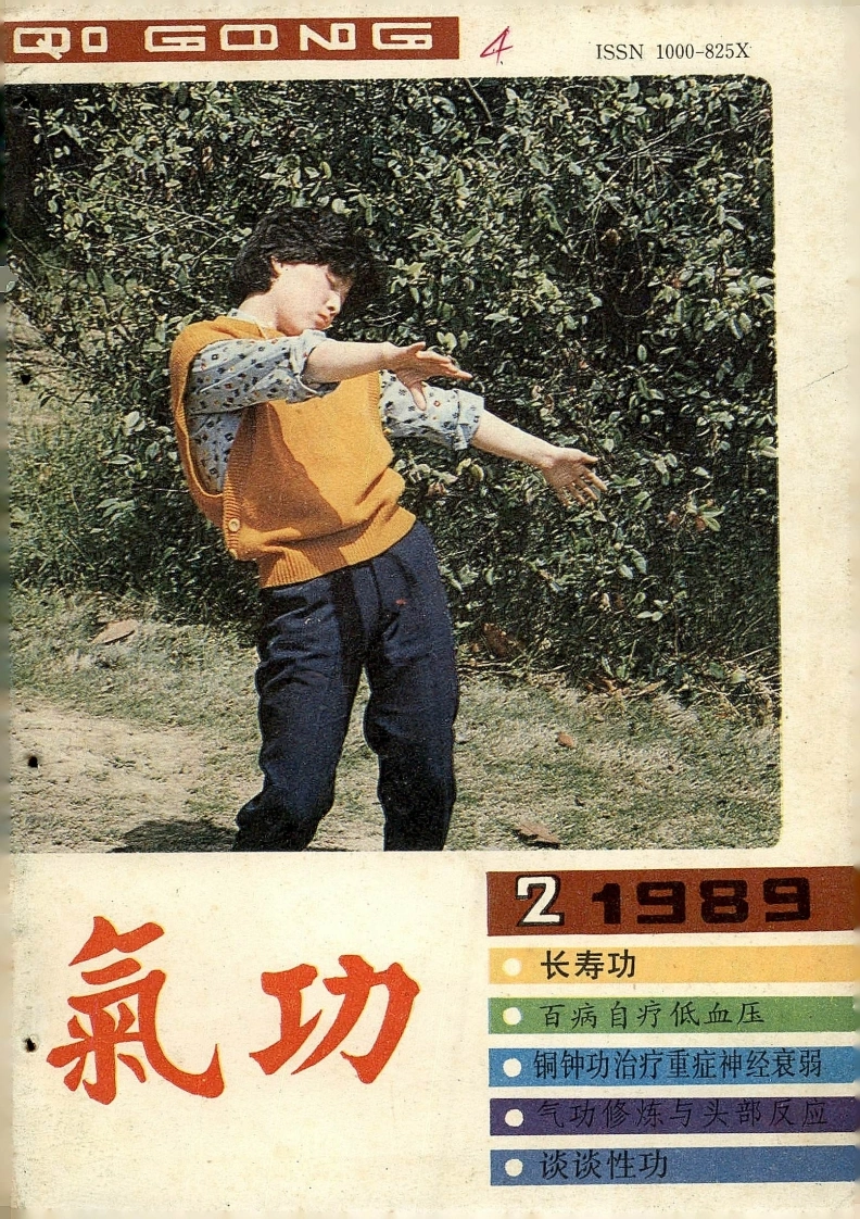 气功1989第二期-四书格