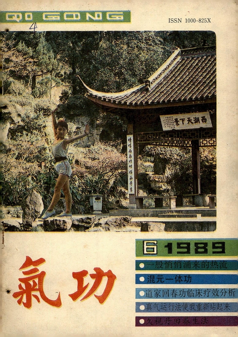 气功1989第六期-四书格