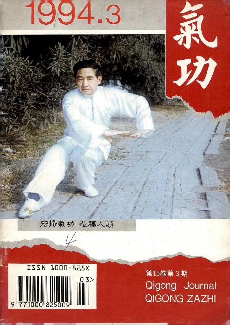 气功1994第三期-四书格