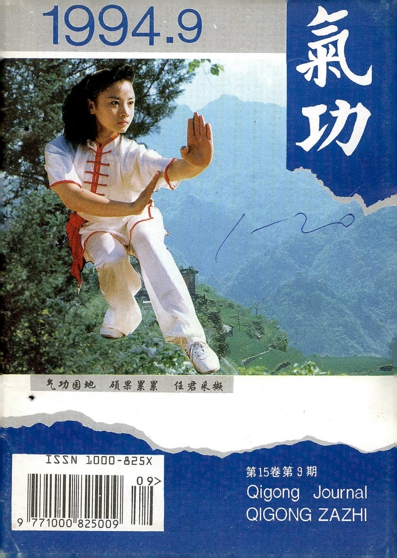 气功1994第九期-四书格