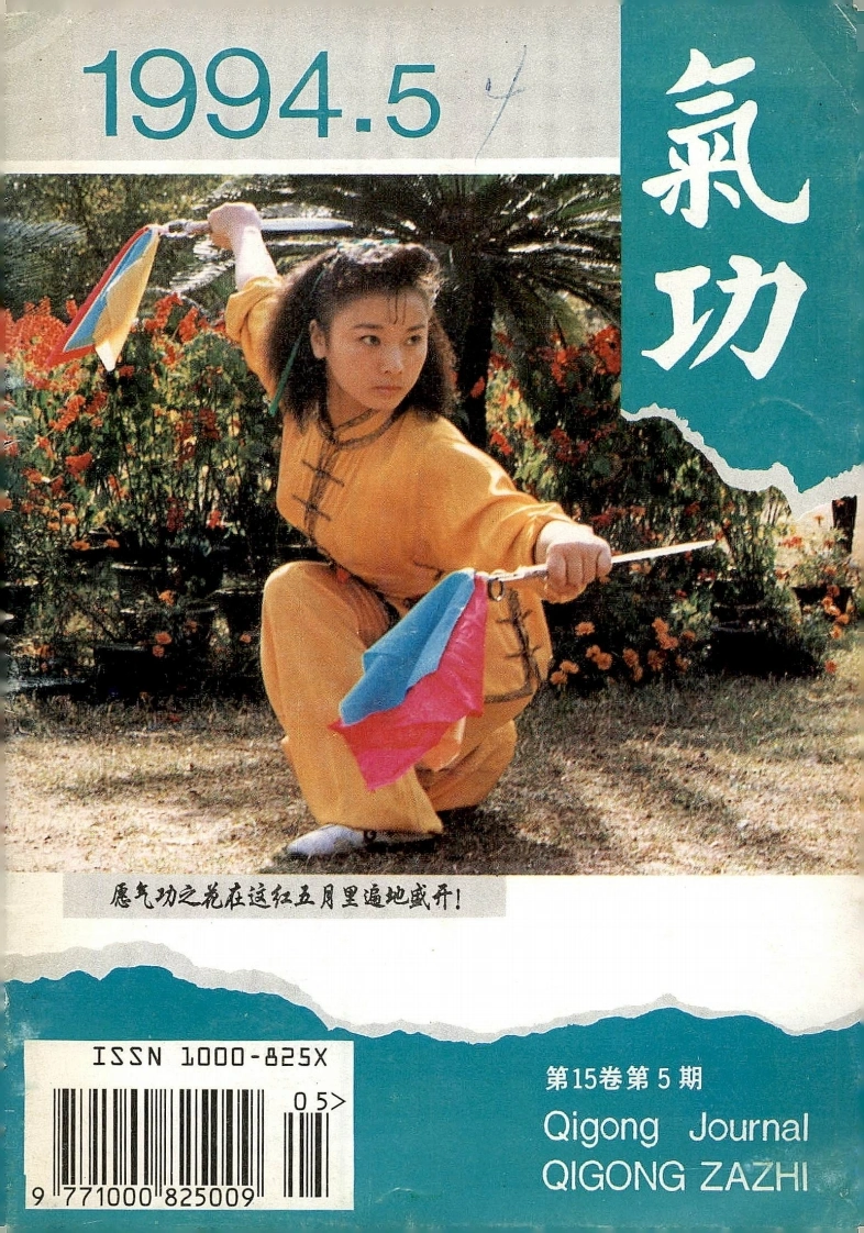 气功1994第五期-四书格