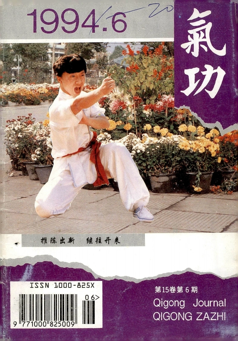 气功1994第六期-四书格