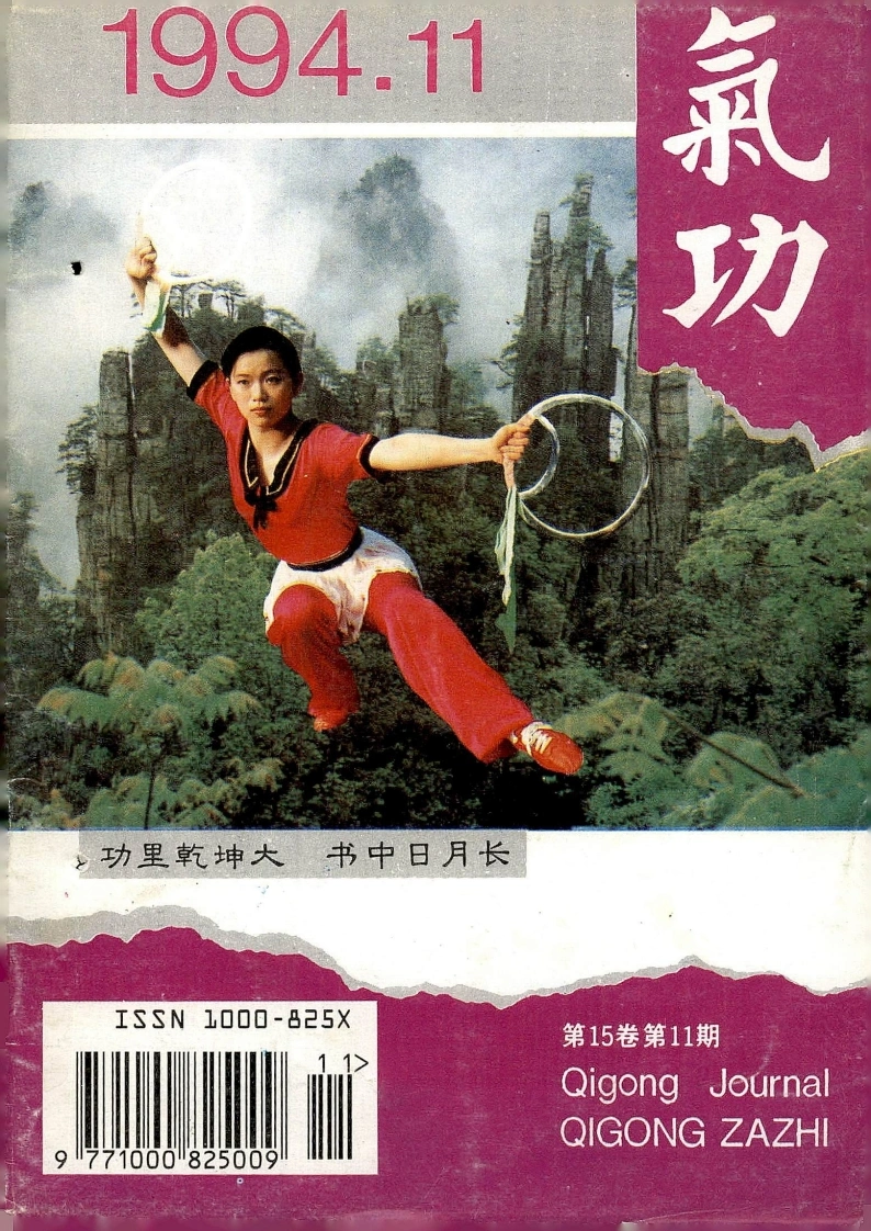 气功1994第十一期-四书格
