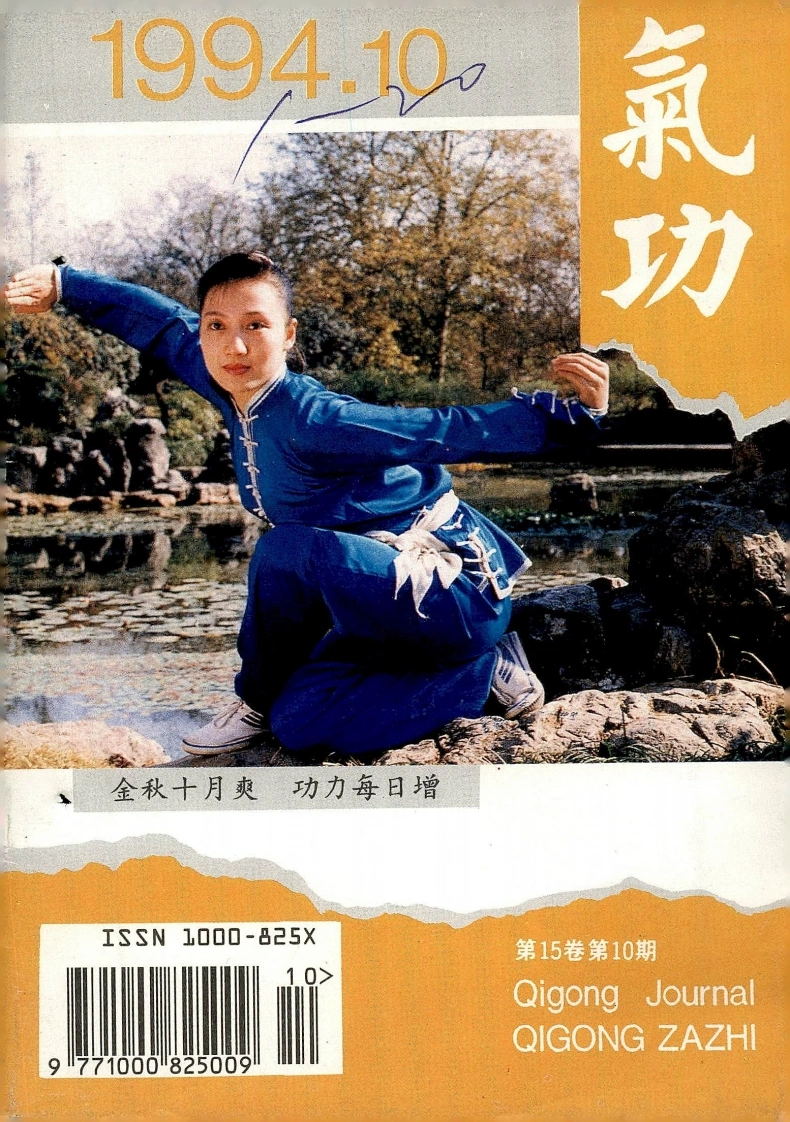 气功1994第十期-四书格