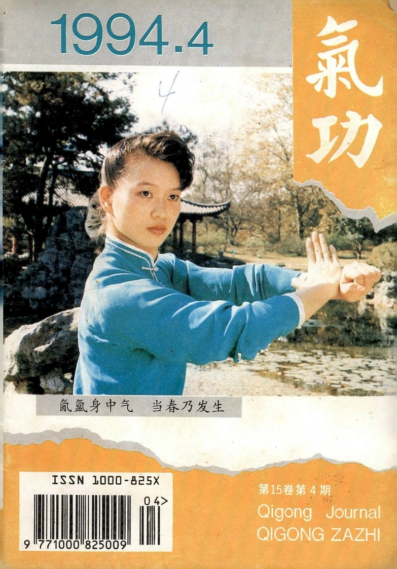 气功1994第四期-四书格
