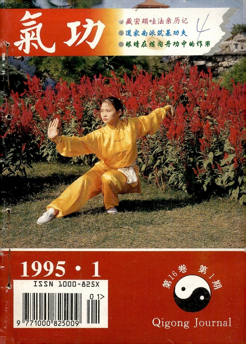气功1995第一期-四书格