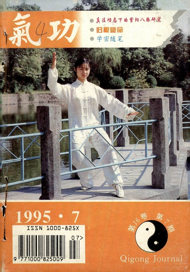 气功1995第七期-四书格