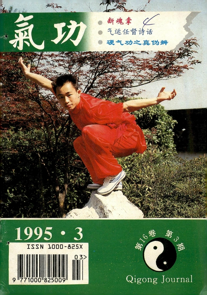 气功1995第三期-四书格