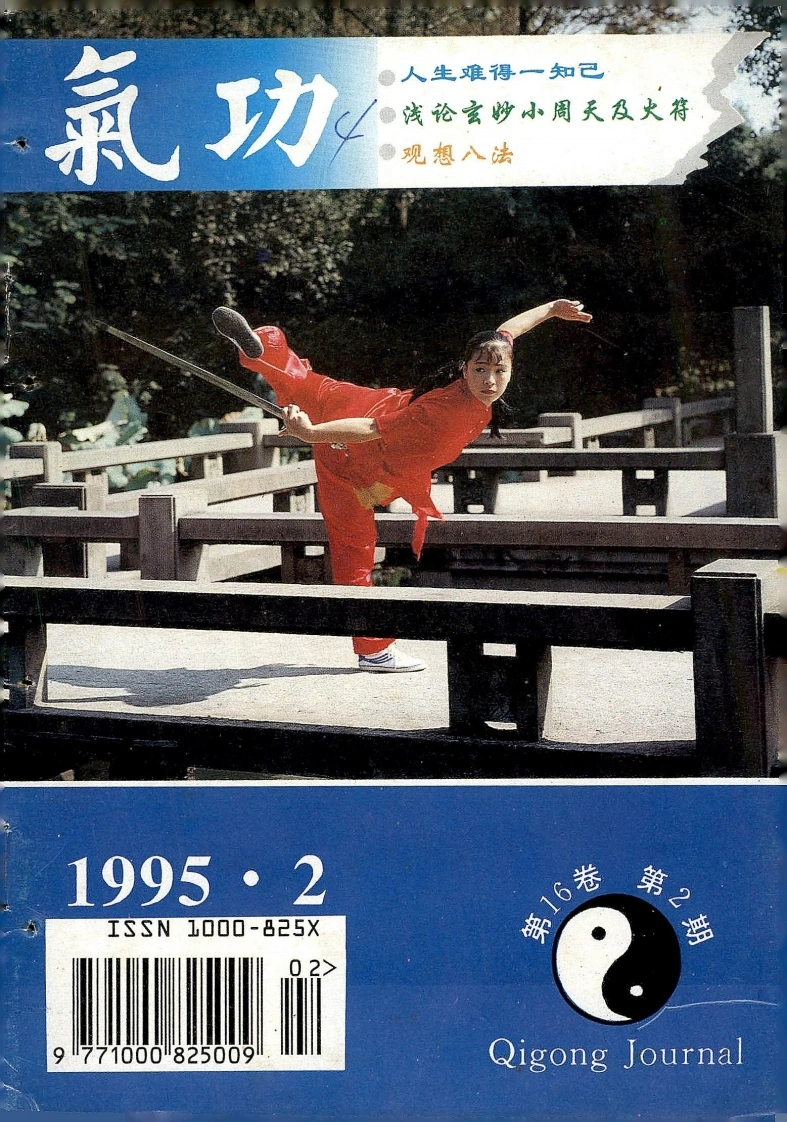 气功1995第二期-四书格