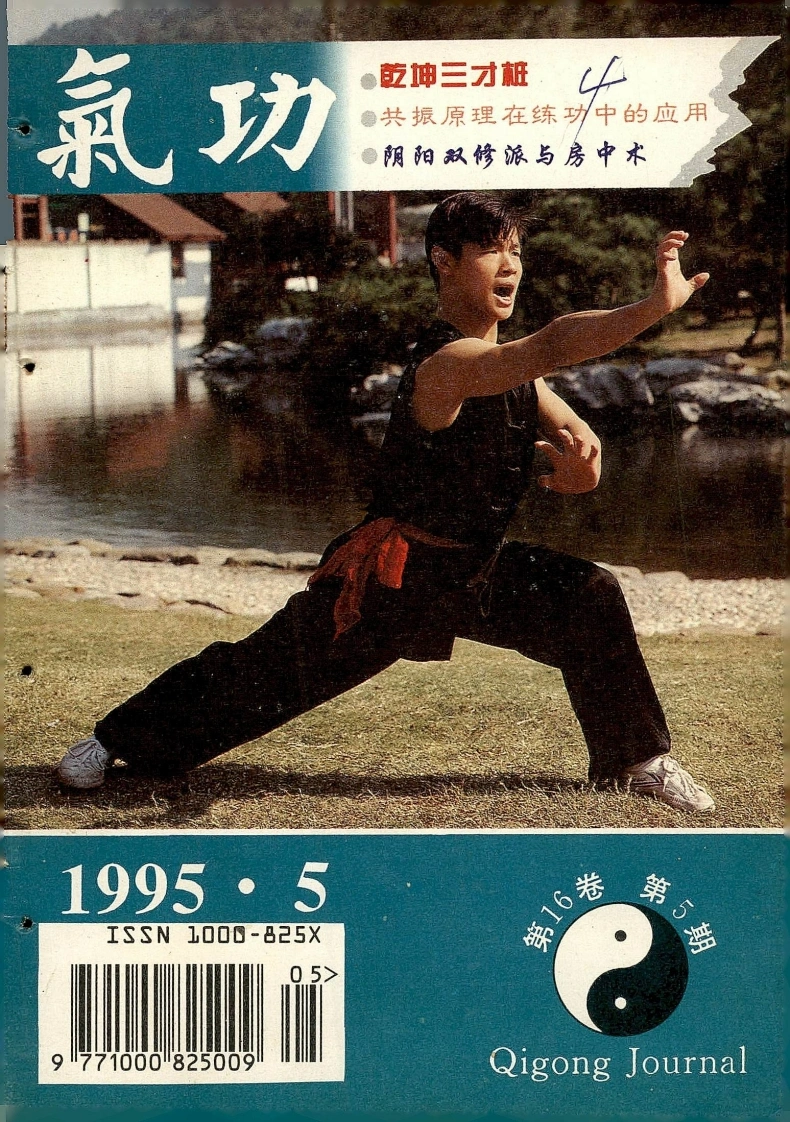 气功1995第五期-四书格