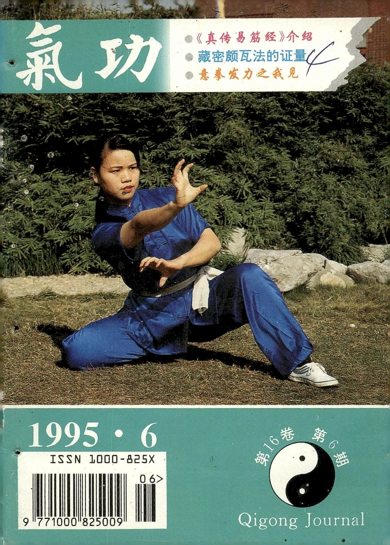 气功1995第六期-四书格
