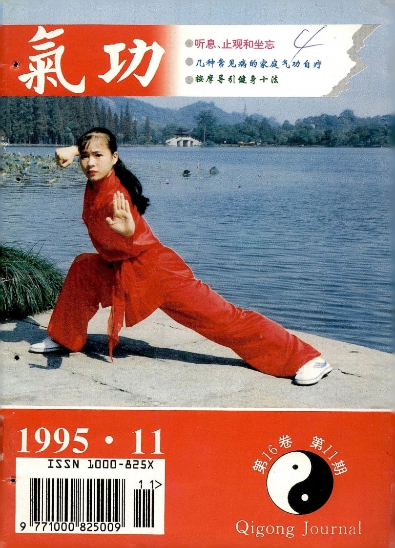 气功1995第十一期-四书格