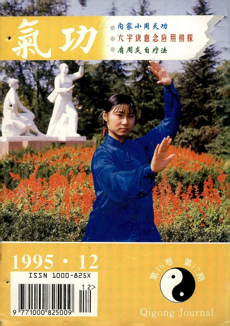 气功1995第十二期-四书格