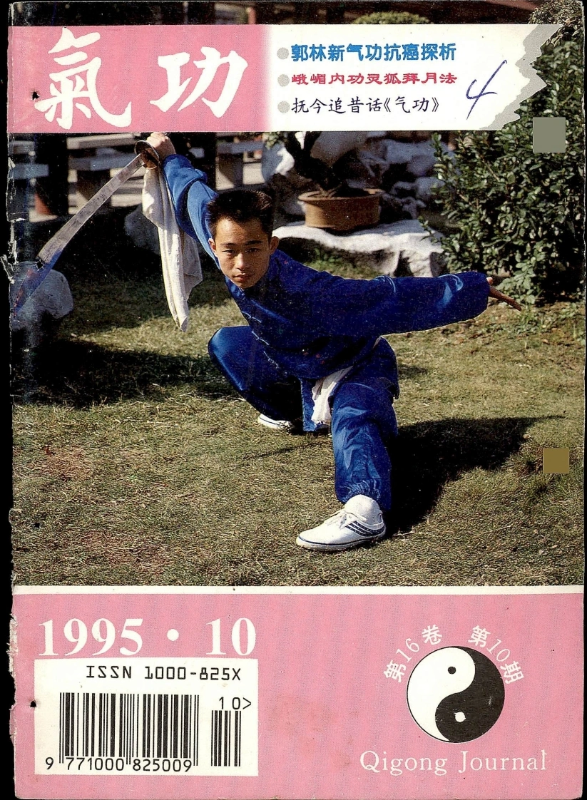 气功1995第十期-四书格
