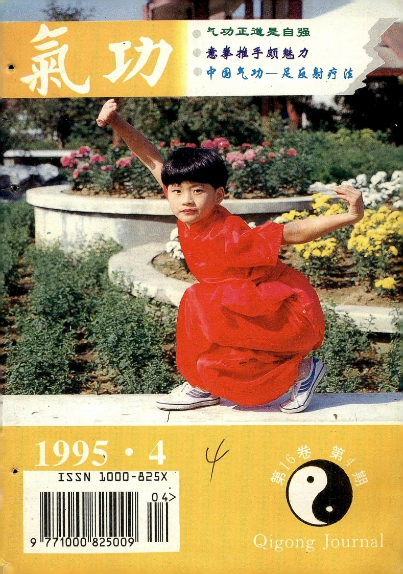 气功1995第四期-四书格