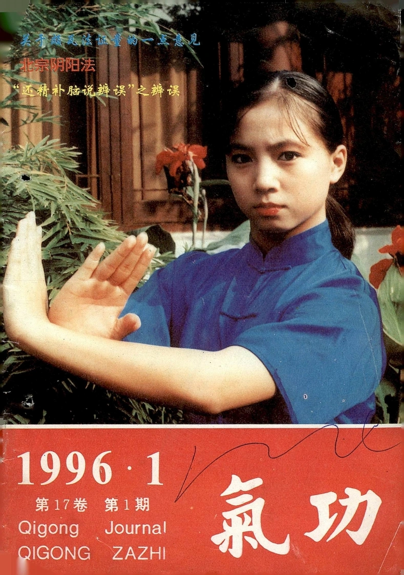 气功1996第一期-四书格