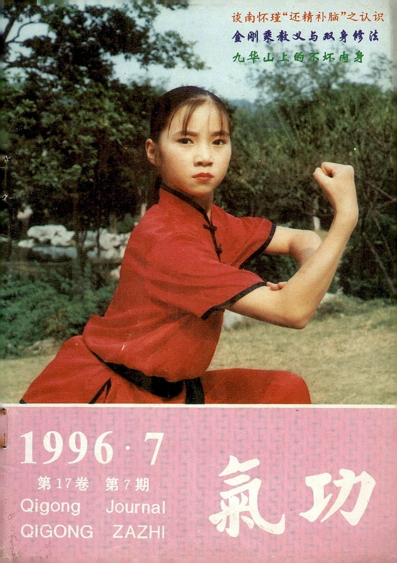 气功1996第七期-四书格