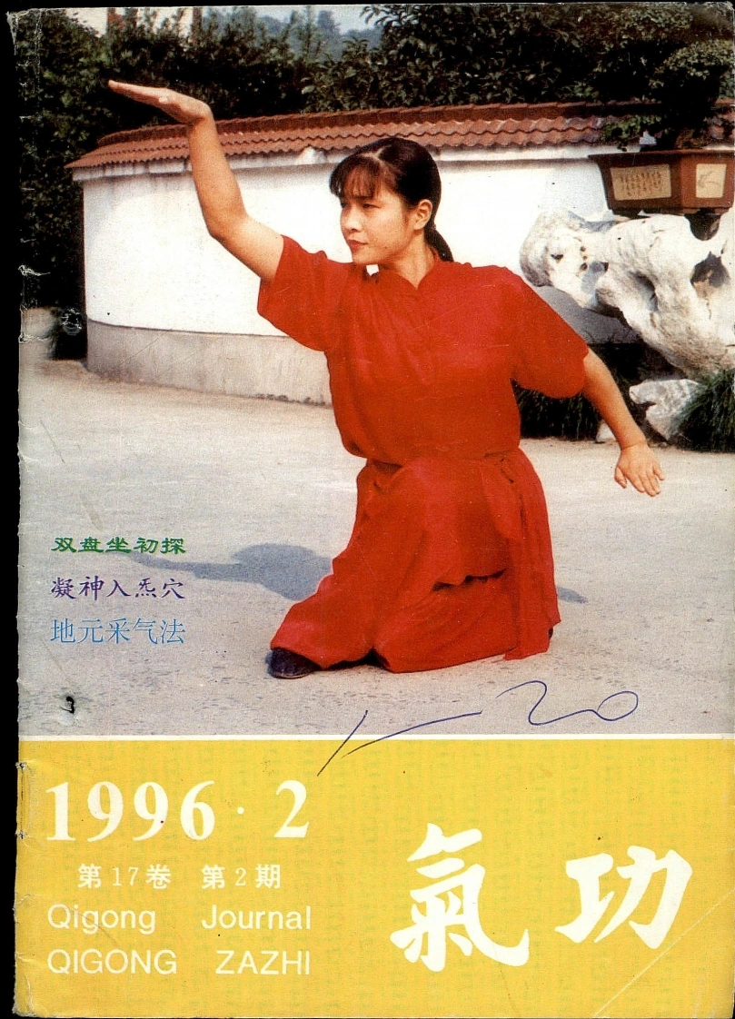 气功1996第二期-四书格