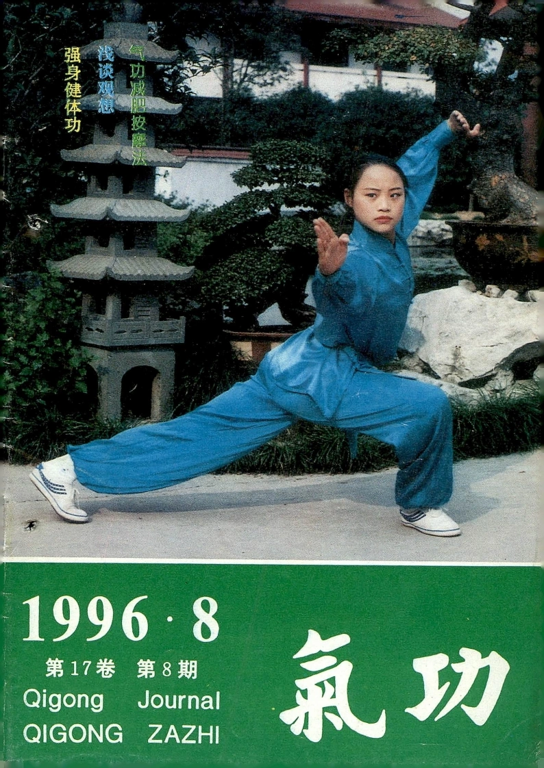 气功1996第八期-四书格