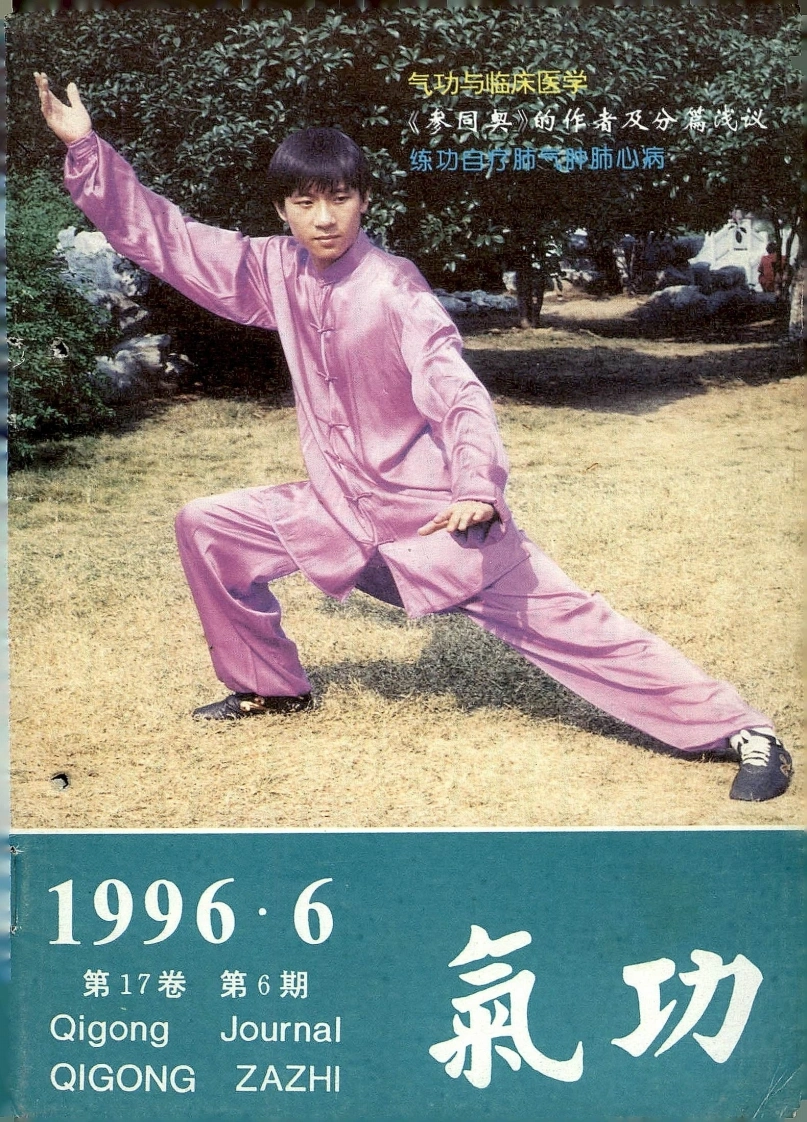 气功1996第六期-四书格