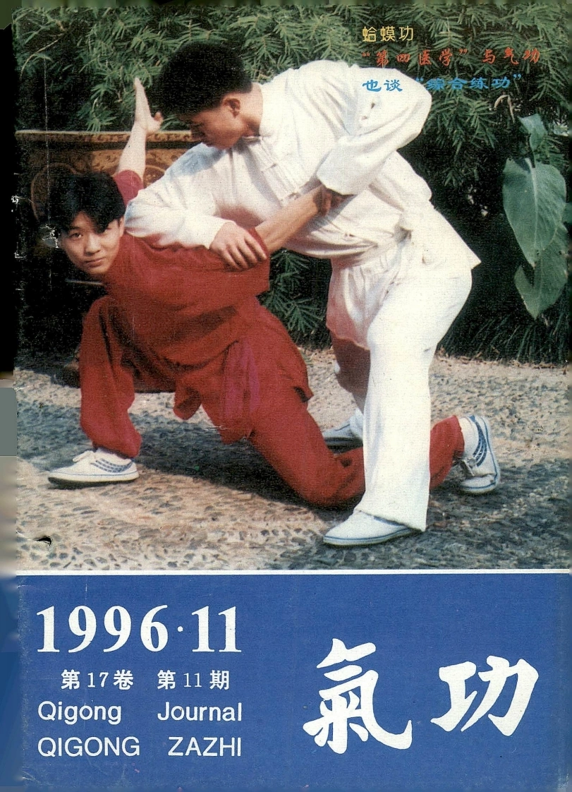气功1996第十一期-四书格