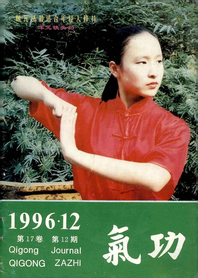 气功1996第十二期-四书格