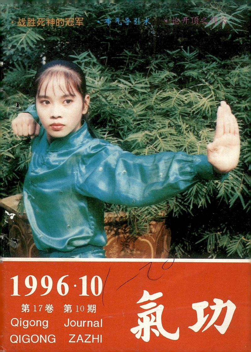 气功1996第十期-四书格