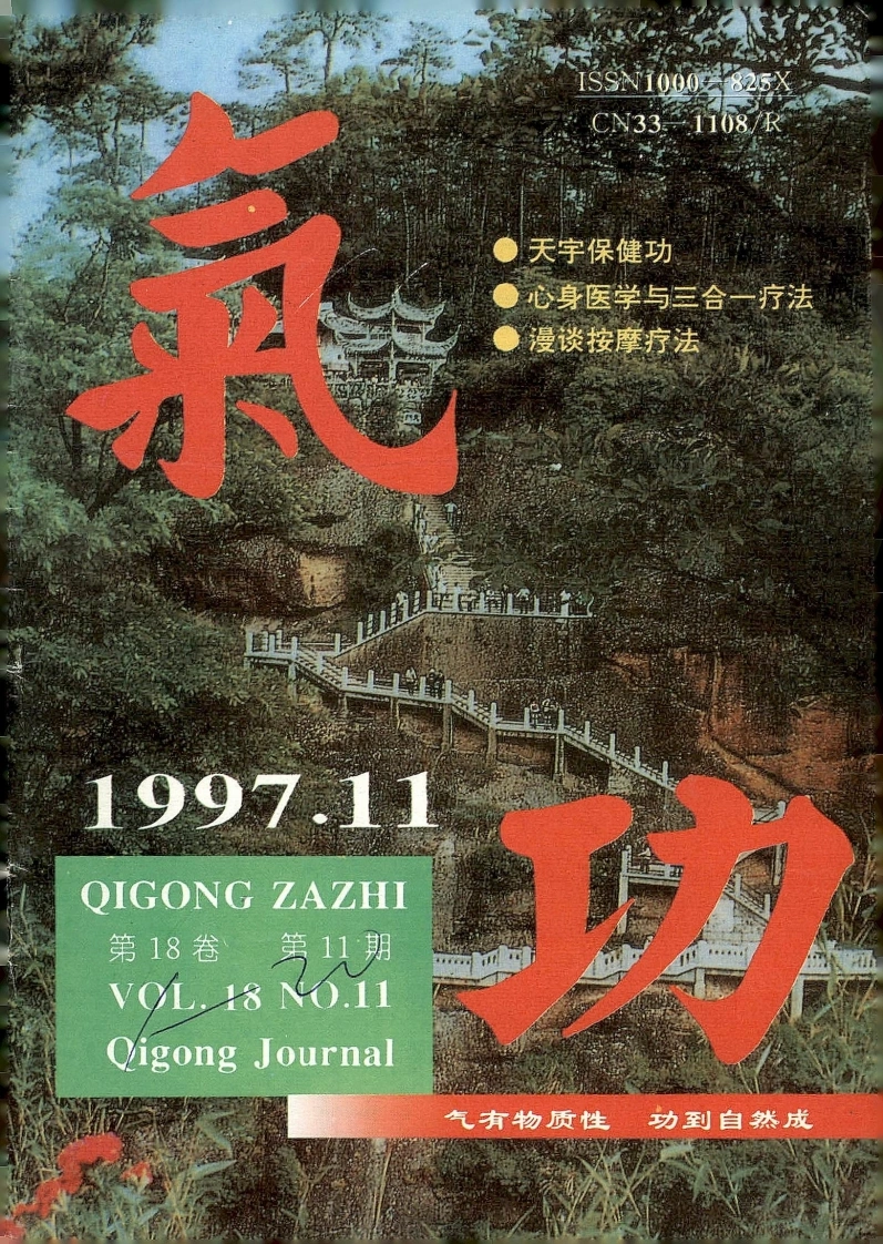 气功1997第十一期-四书格