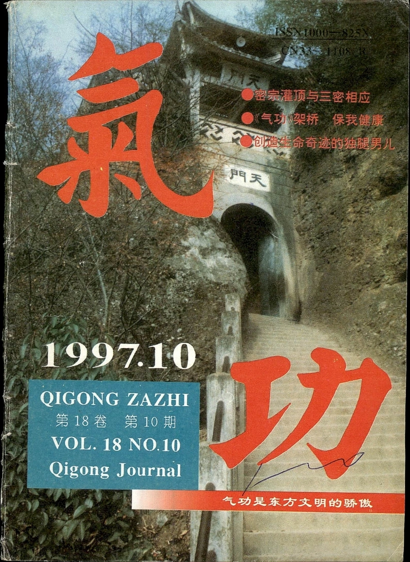 气功1997第十期-四书格