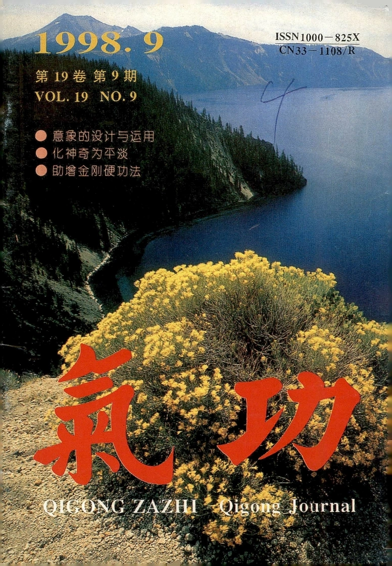 气功1998第九期-四书格