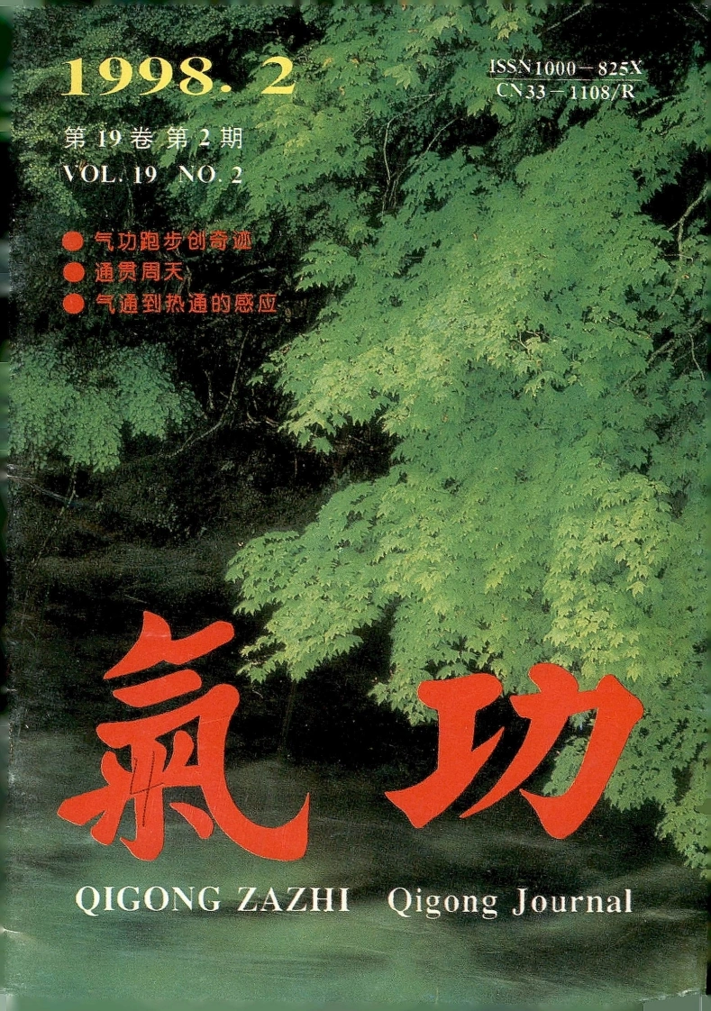 气功1998第二期-四书格