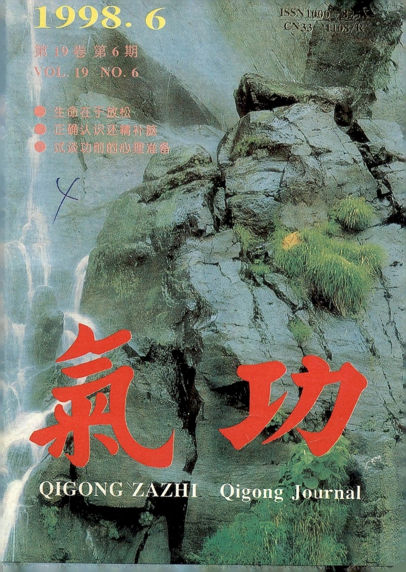 气功1998第六期-四书格