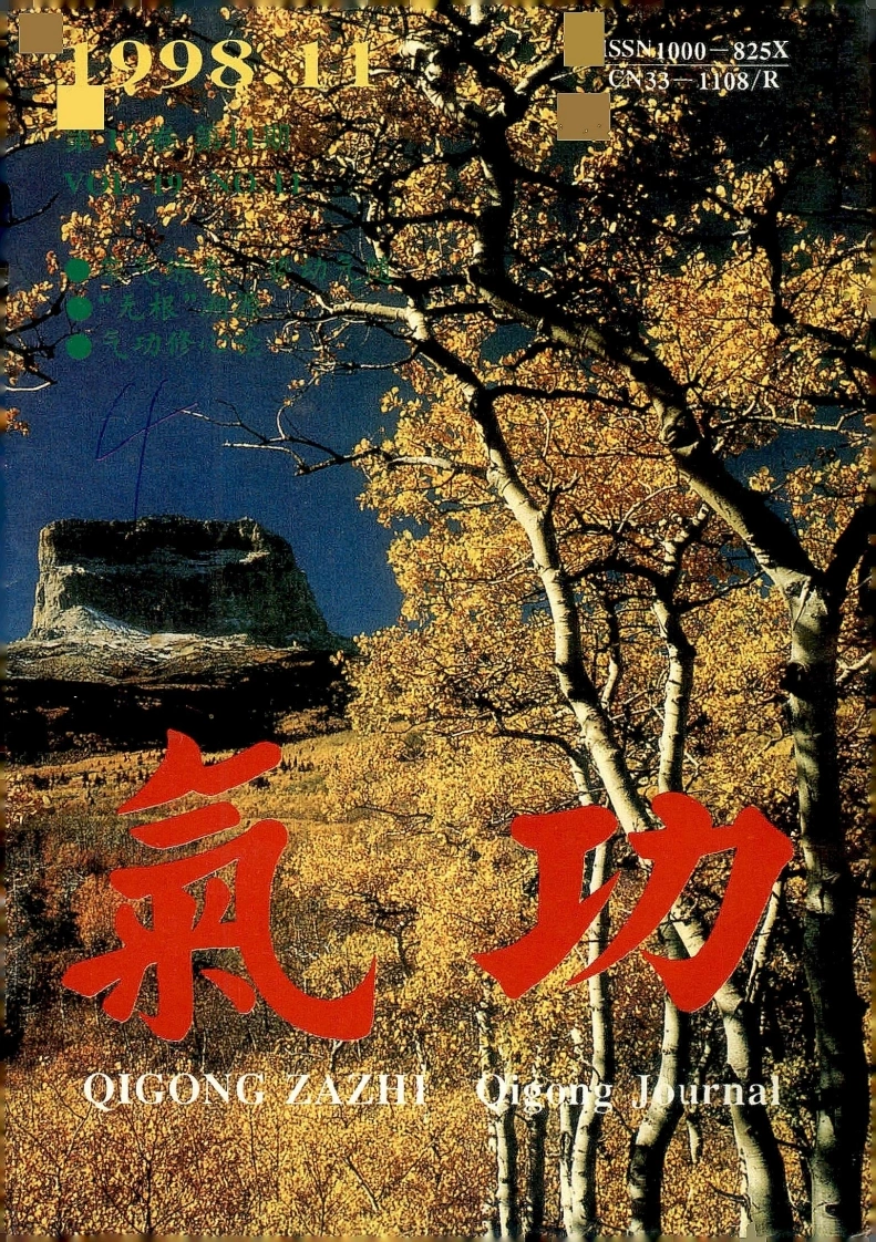 气功1998第十一期-四书格