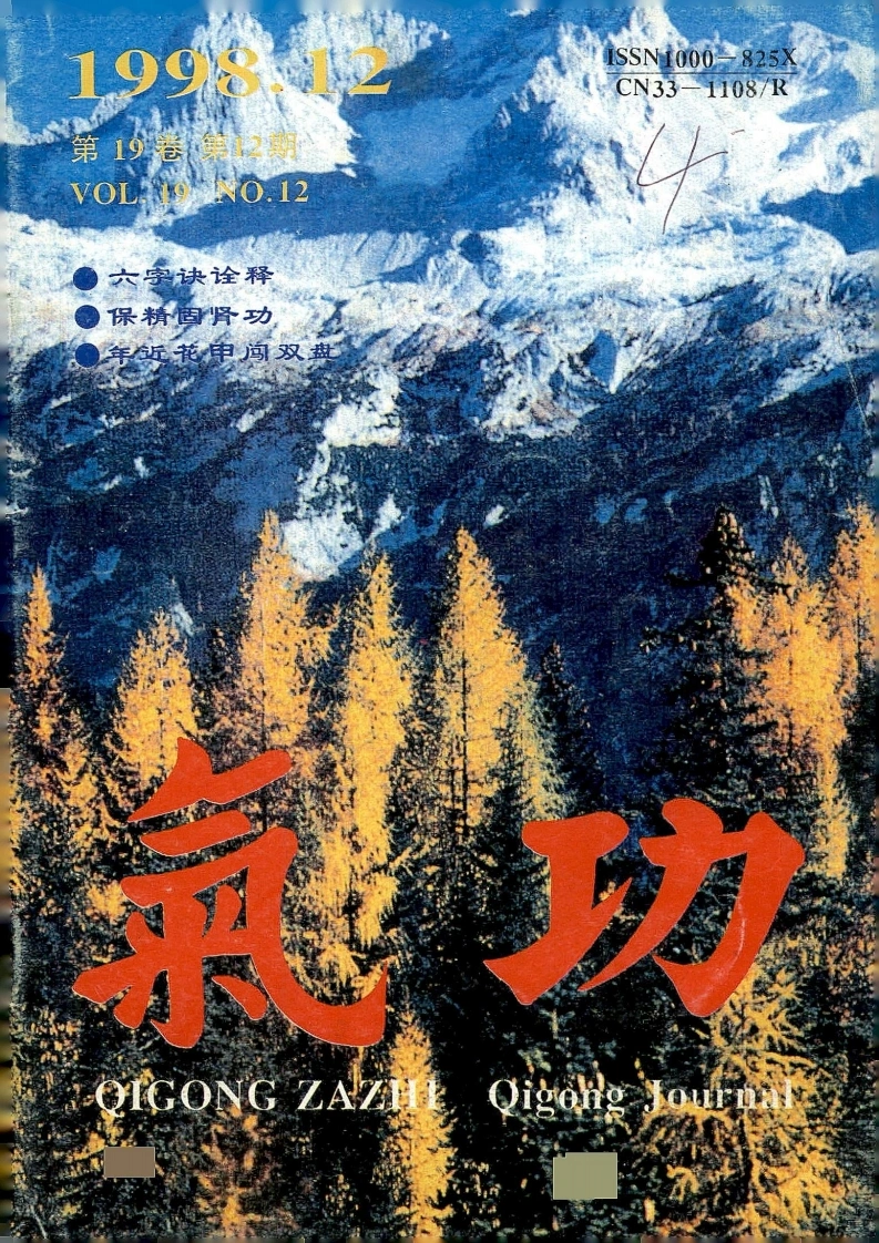 气功1998第十二期-四书格
